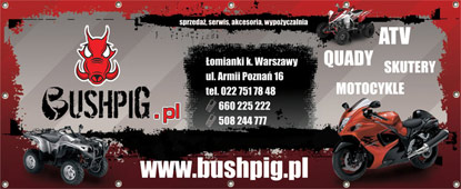 bushpig