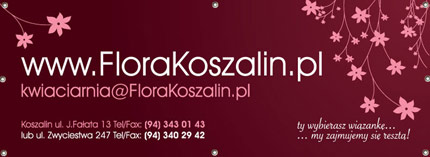 baner frontlight mini